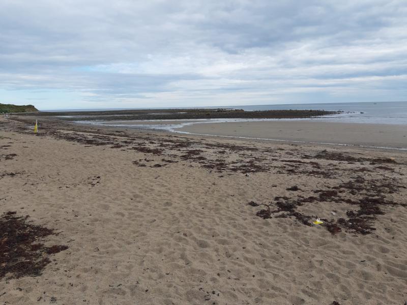 Louth councillor calls for installation of free sunscreen dispensers