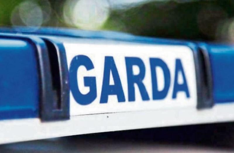 Criminal damage incident in Kildangan, County Kildare, prompts garda investigation