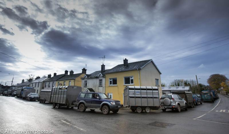 laois mountrath