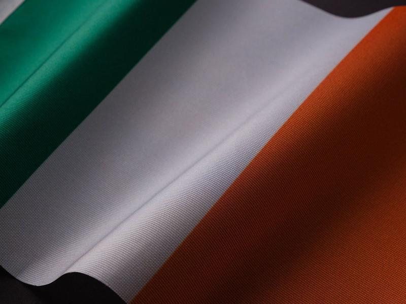 Over 100 people living in Waterford granted Irish citizenship in recent ceremonies
