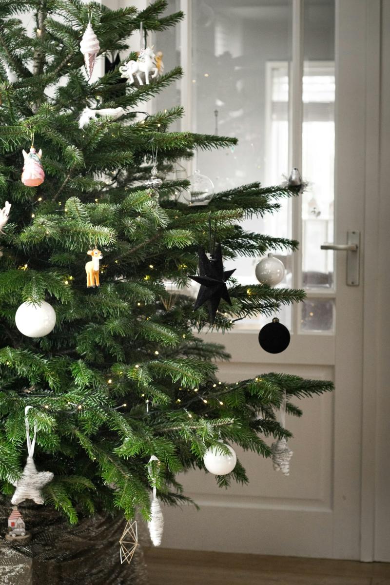FYI: Find out where you can recycle your Christmas Tree in Kilkenny
