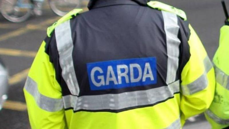 Breaking: Gardaí in Bagenasltown are investigating theft from a farm yard
