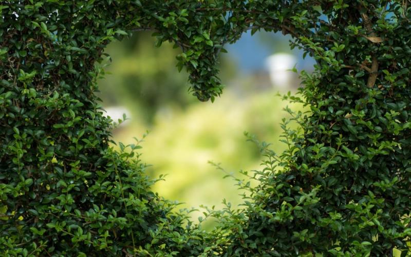 Altamont Gardens calls on Carlow singletons to attend their walking  event to connect