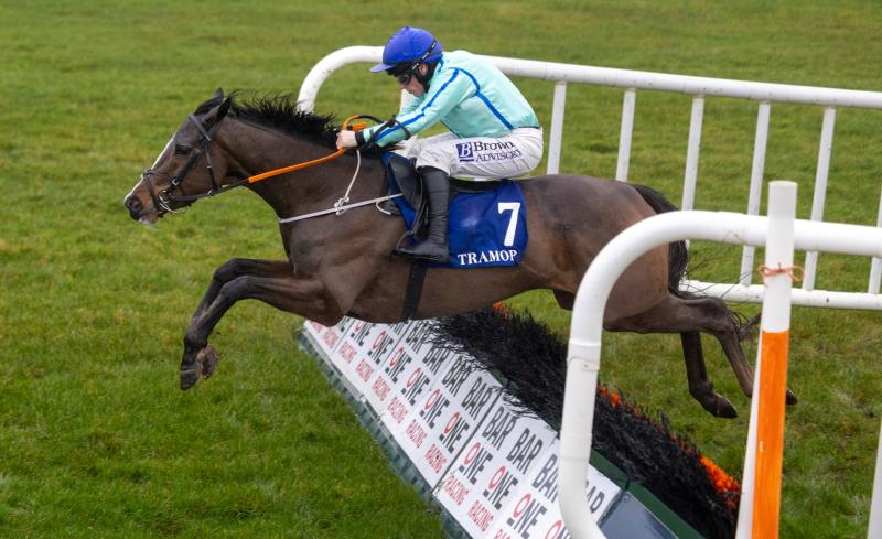 Plenty of success for Tipperary jockeys and trainers since the New Year