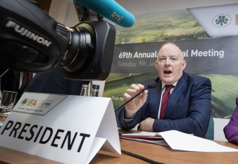 ifa francie gorman