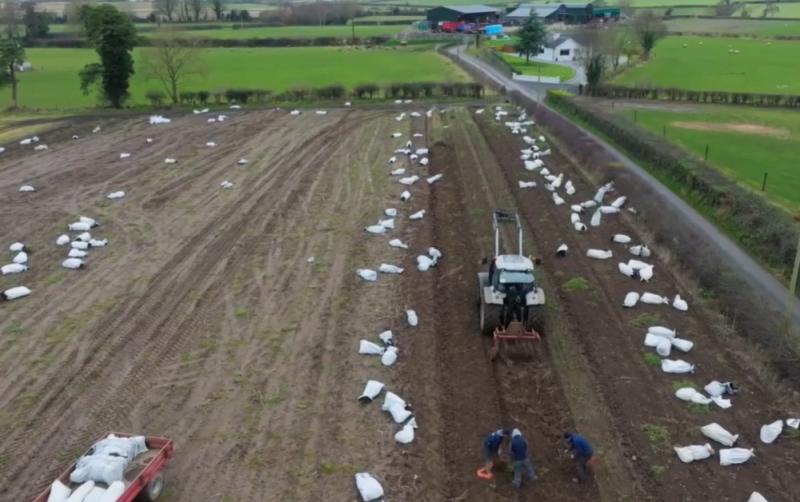 Carlow features in this week's Ear to the Ground as part of an investigation