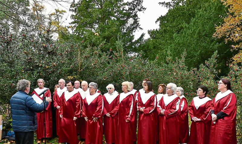 Action-packed St Brigid’s  weekend in Kilkenny