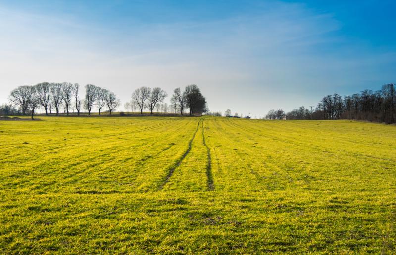 IFA to hold online information meeting on Residential Zoned Land Tax