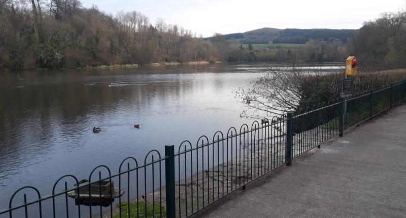 Tipperary community group wins national award for its care of lake and river