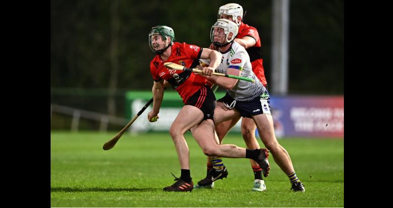 ROUND-UP: Tipp players with Mary I and UL progress to Fitzgibbon Cup semi-finals