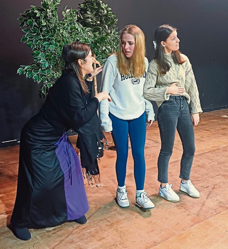 Longford Drama: Panto time for Mostrim Players