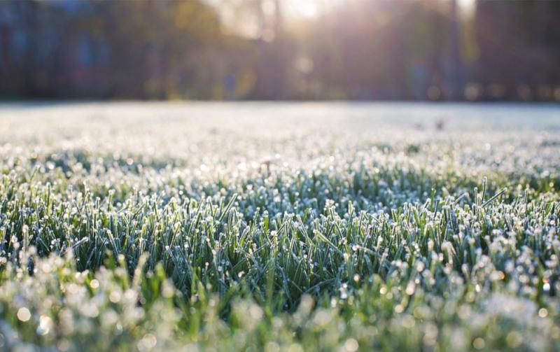 Carlow Weather: Cold overnight with patchy frost and ice developing