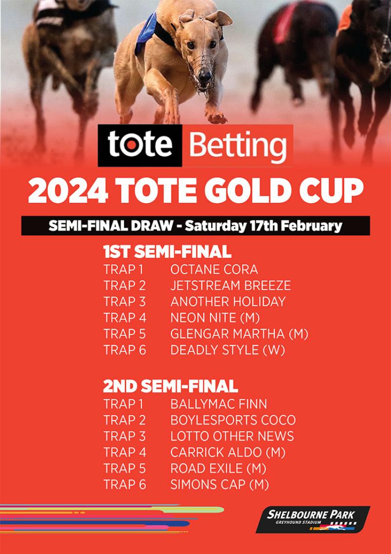 Plenty of Tipperary interest in the Tote Gold Cup as the big race gets closer 
