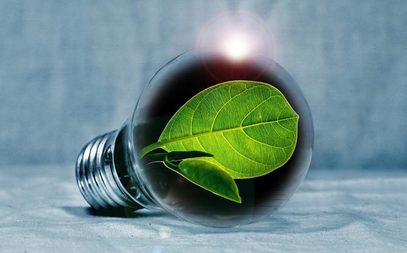 Fifteen Laois businesses approved for Green for Business scheme 