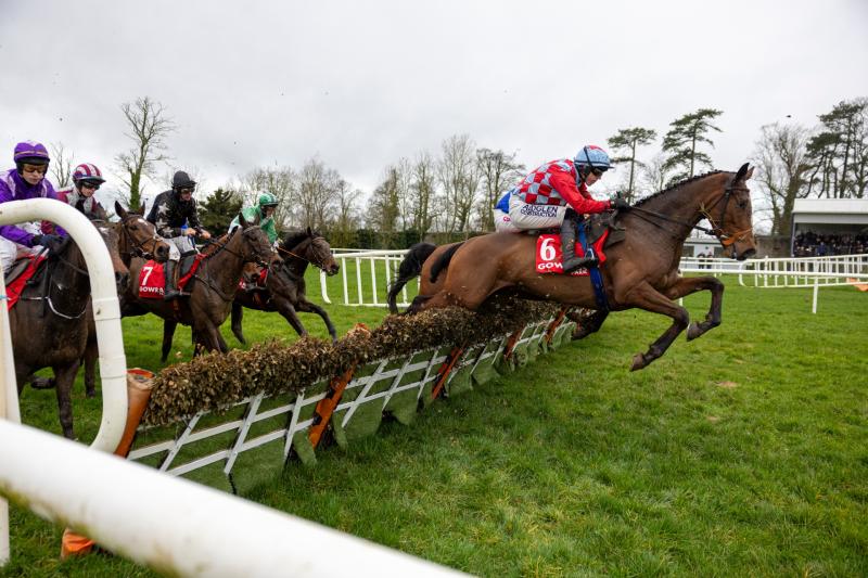 Weekly Racing News - Tipperary winners to the fore this week with a 100/1 winner amongst them!