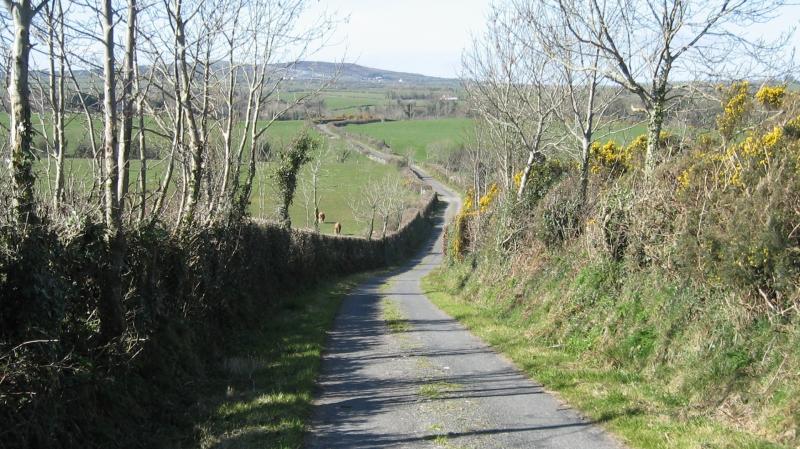 Hedge-cutting season comes to an end next week