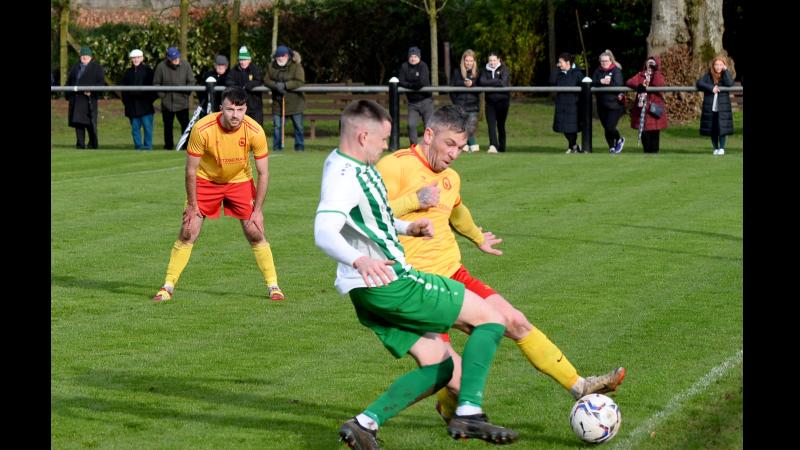 Tipperary standard bearers St Michael's march on to another Munster Junior Cup final