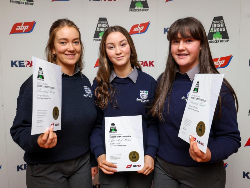 Laois students exhibit project at Croke Park in national beef contest 