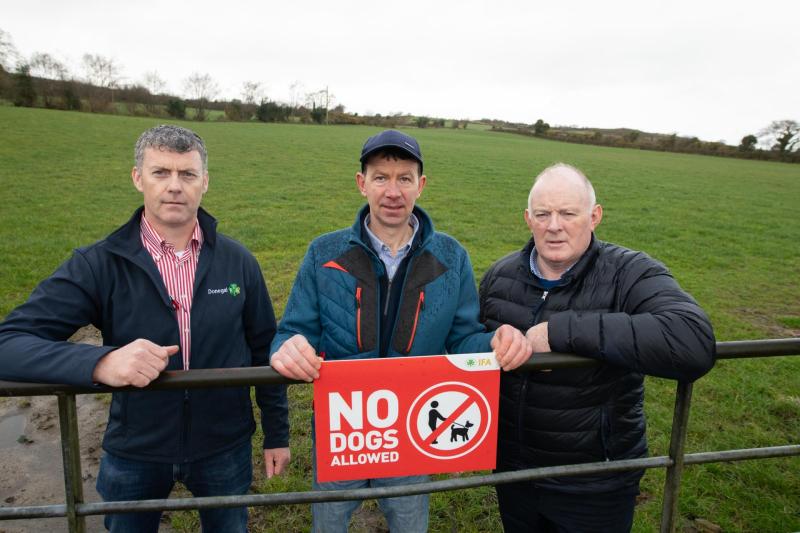 Action demanded in Laois and other counties to stop dog carnage