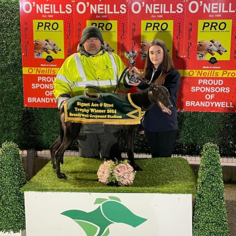 Shelone Glory held the winning hand in Signet Ace 500 at Brandywell