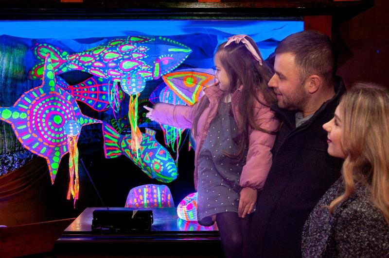Magical Longford Lights Festival attracts over 11,000 visitors