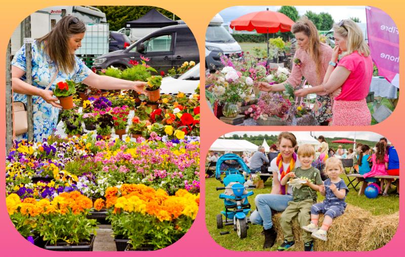 Gardeners' World star set for Buds and Blossoms summer festival in Laois