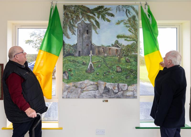 laois art