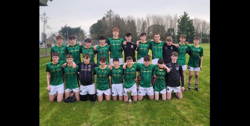 Brilliant quality on show as North Tipp defeat Mid Tipp in Roger Ryan Hurling Final