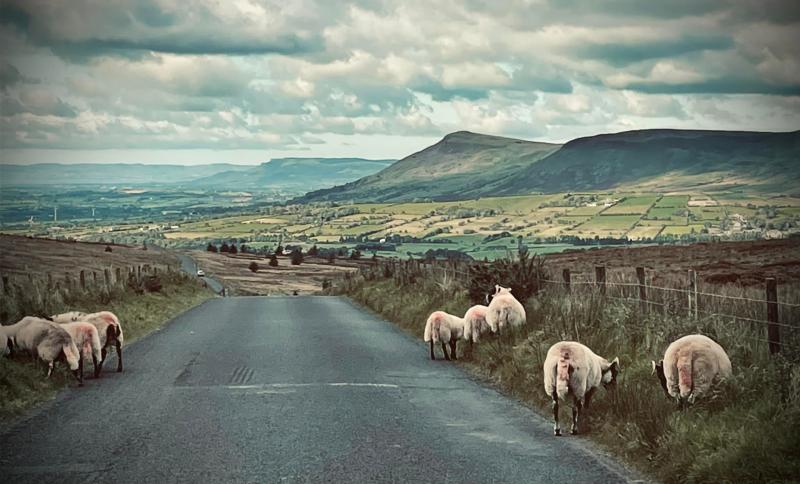 'We don’t want any more of these wind farms' – Dungiven public meeting hears