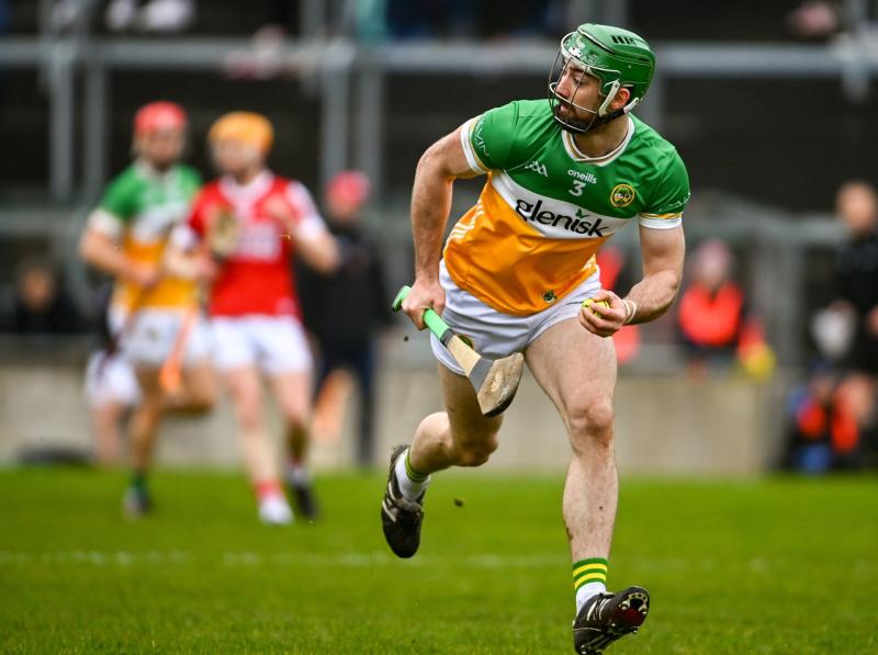 Offaly hurlers round off league campaign at home to Clare