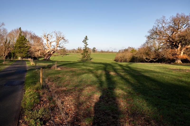 Industrial estate in Tipperary 'still a farm' more than 20 years after its purchase