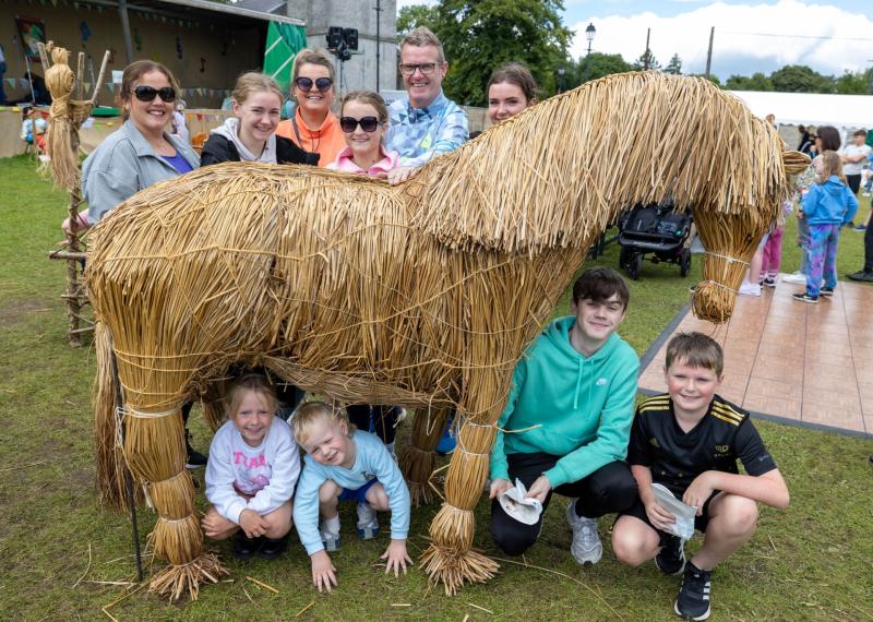 laois laois laois durrow