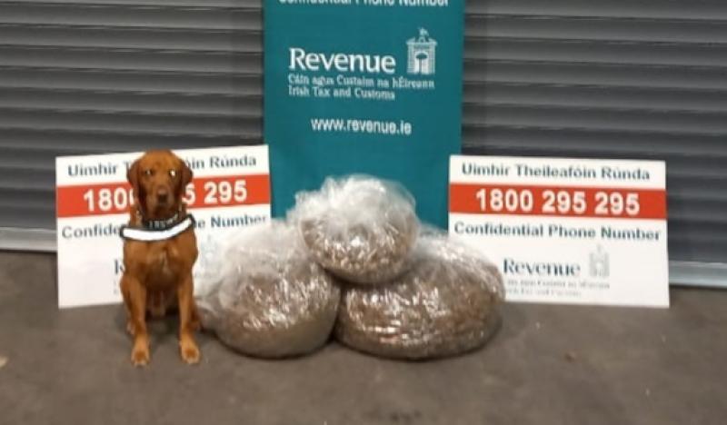 Cannabis found in parcels destined for Louth sniffed out by detector dog James
