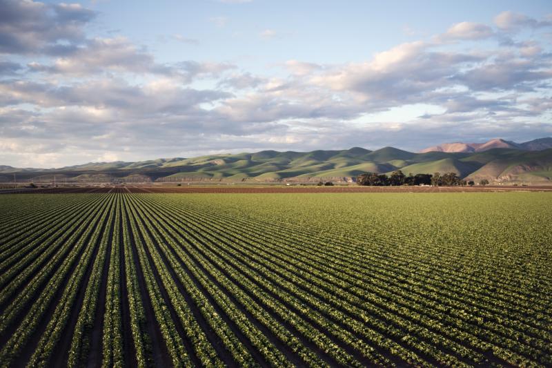Extension of liming scheme a practical move