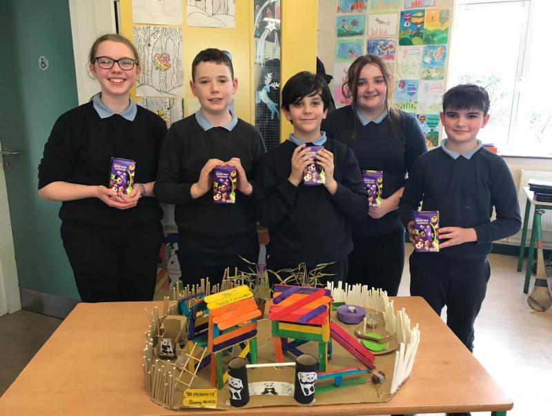 Great fun at Ballymacarbry NS - Panda Playground Design Competition winners announced