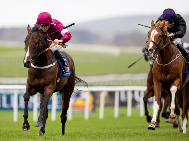 Procrastinate and Billy Lee 