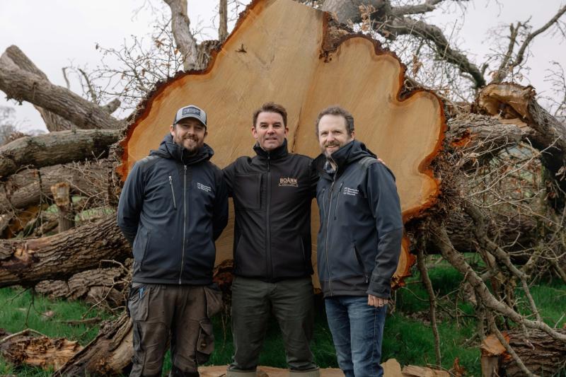 Louth based distillery to turn storm-felled oak into rare whiskey casks