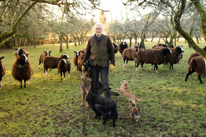 Film and sound project that explores food, farming and climate crises comes to Kilkenny