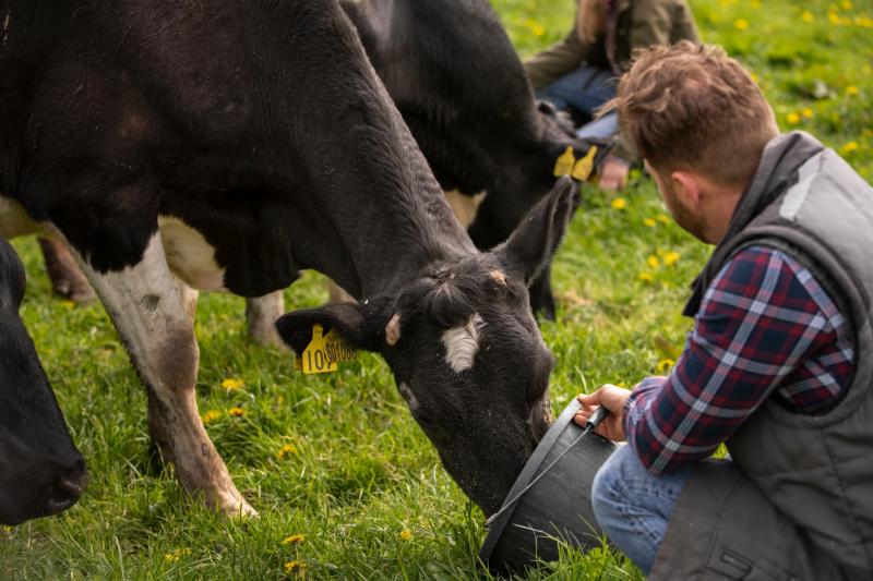 IFA milk price analysis shows large processors not delivering