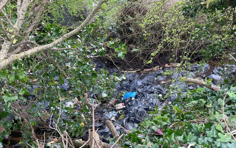 SHOCKING:  Laois Tidy Towns volunteers discover site of mass illegal dumping