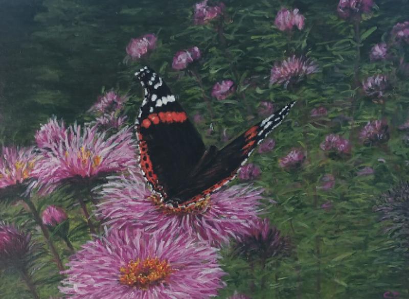 Unmissable Marlfield artist exhibition is set to take place in Clonmel library 