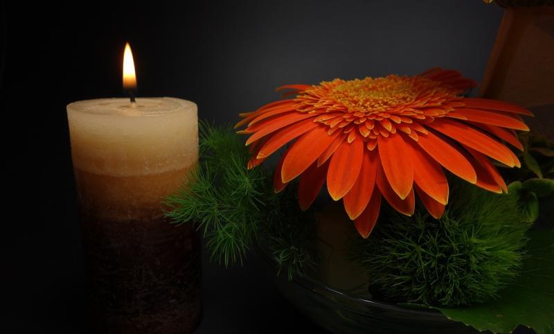 Readers Poll: Should assisted dying be introduced in Ireland? 