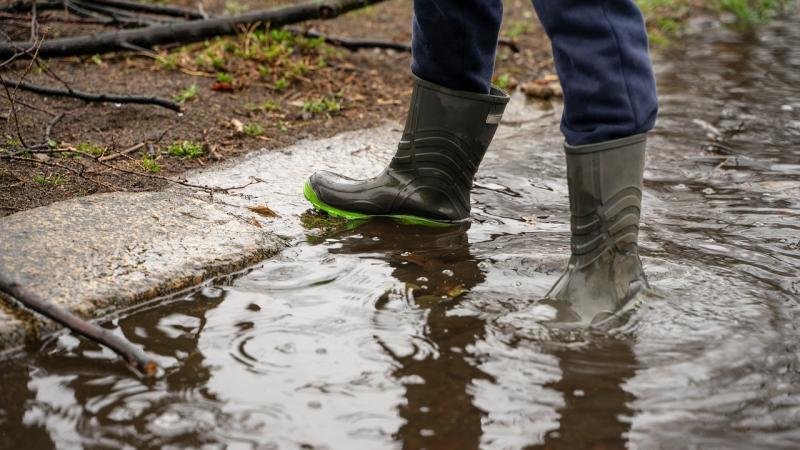 Heavy rainfall will impact farmers
