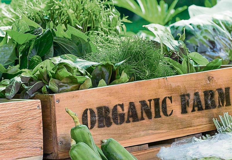 Green public procurement now includes 10% organic target