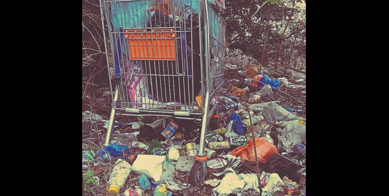 Major litter collection has been organised for Tipperary's largest town