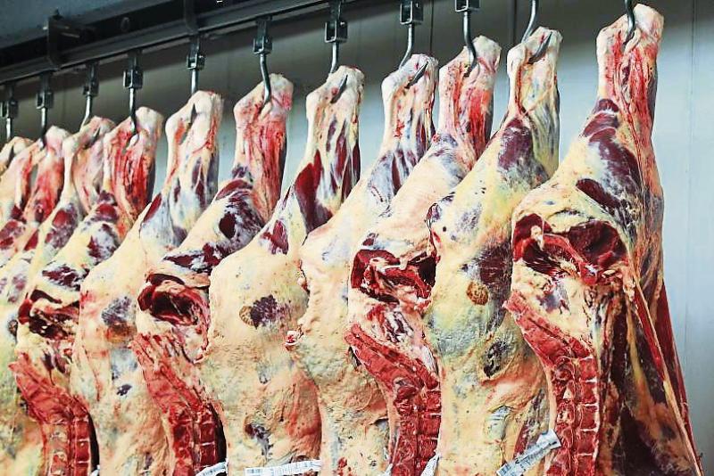 Factory opportunism unacceptable, beef prices must push on says IFA
