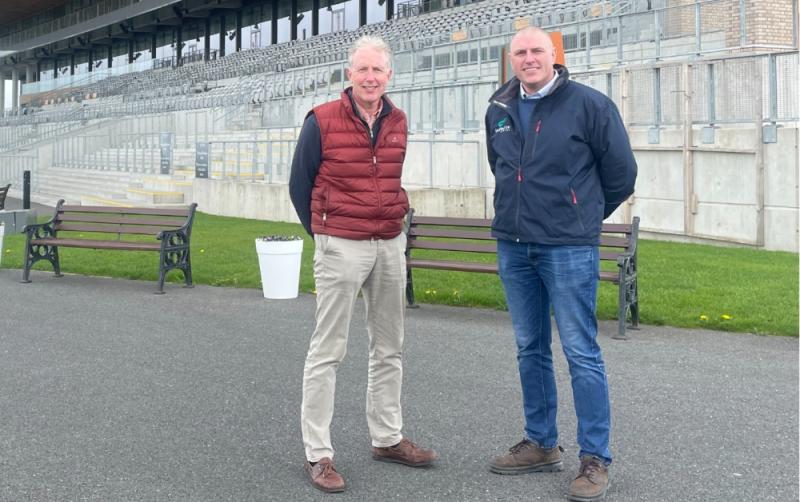 The Curragh racecourse welcomes Infinite Energy as new race sponsor