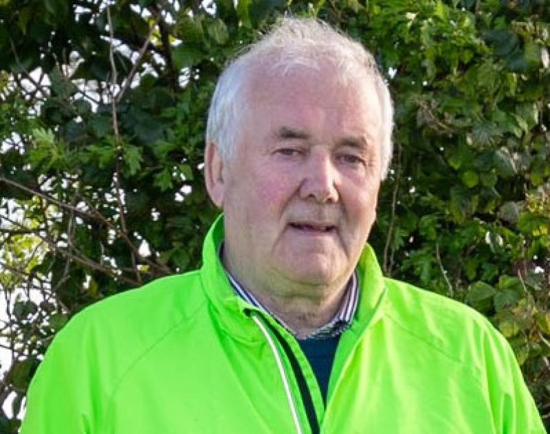 Abbeyleix campaigner throws hat into Laois elections in Portlaoise area