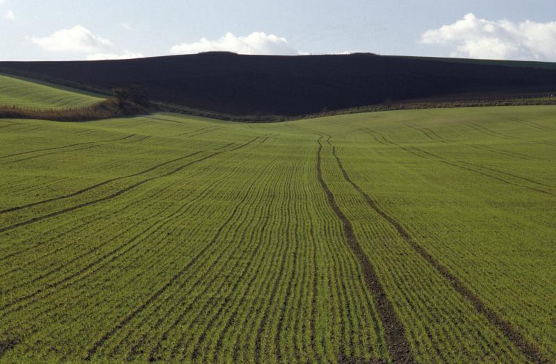 Leitrim average land prices range from €4,000 per acre for poor land to €7,978 for good