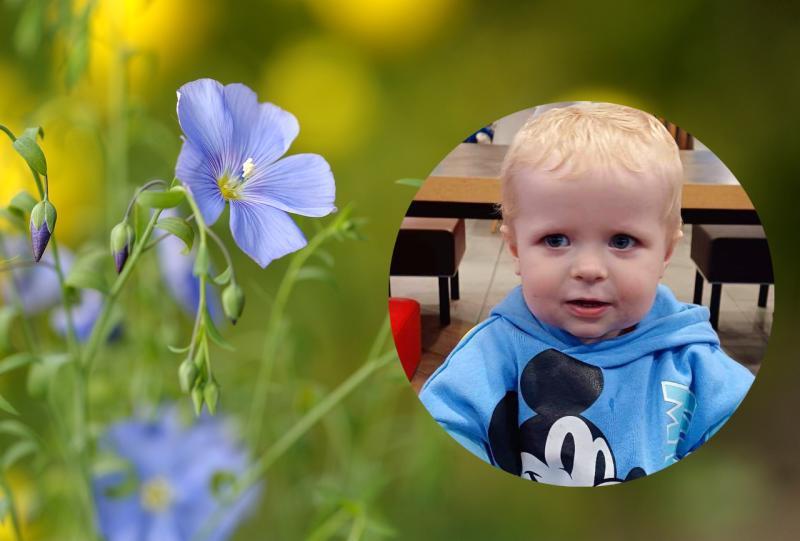 Deep sadness at death of Little Blue Hero, Honorary Garda Eoin Arnold, Frosses